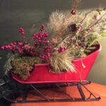 Arrangement of silvery evergreens and red berries in red sleigh on wood shelf