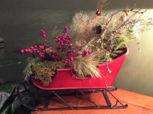 Arrangement of evergreens and red berries in red sleigh