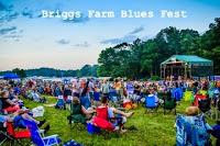 Briggs Farm Blues Fest - visitors gathered in lawn sitting in lawn chairs enjoying music on stage