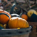 closeup of part of two orange pumpkins in gray wood basket, more pumpkins in background