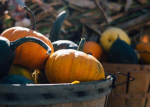 Pumpkins in basket photo by Aaron Burden on Unsplash https://unsplash.com/@aaronburden