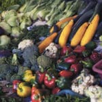 large vegetable display of red cabbage, broccoli, yellow squash, red & green bell peppers, cauliflower, celery, cherry tomatoes