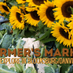 Background of veggies and sunflowers with text: Farmer's Markets to Explore in Bloomsburg/Danville