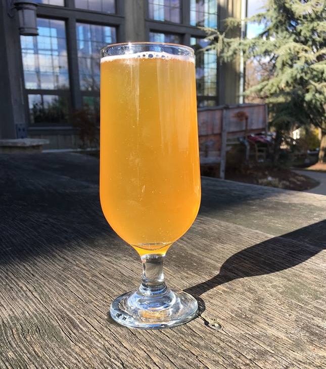 full glass of golden beer on wooden board outside brew pub