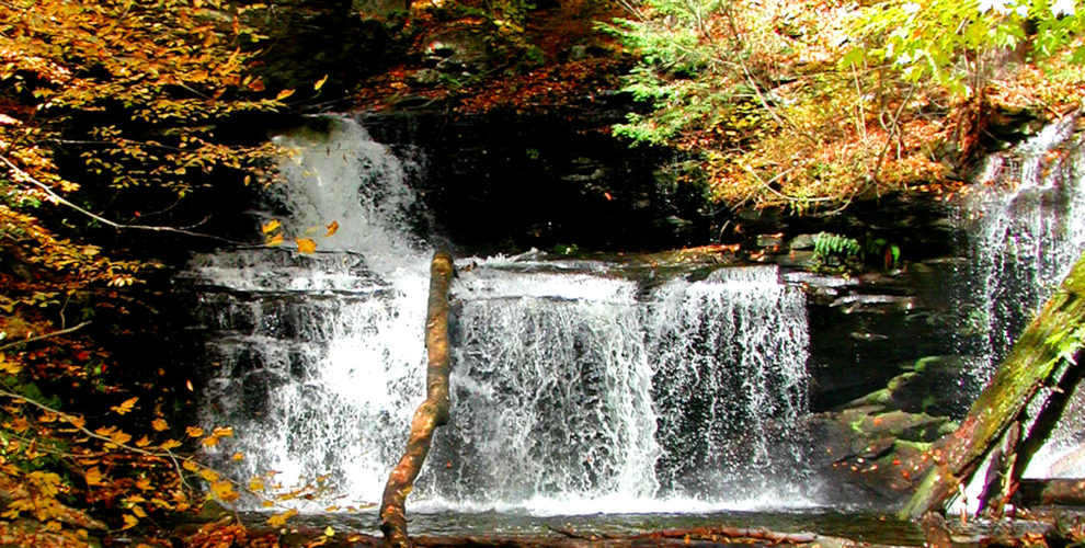 Ricketts Glen white rushing waterfall with pool surrounded by fall leaves below and orange yellow and green trees above