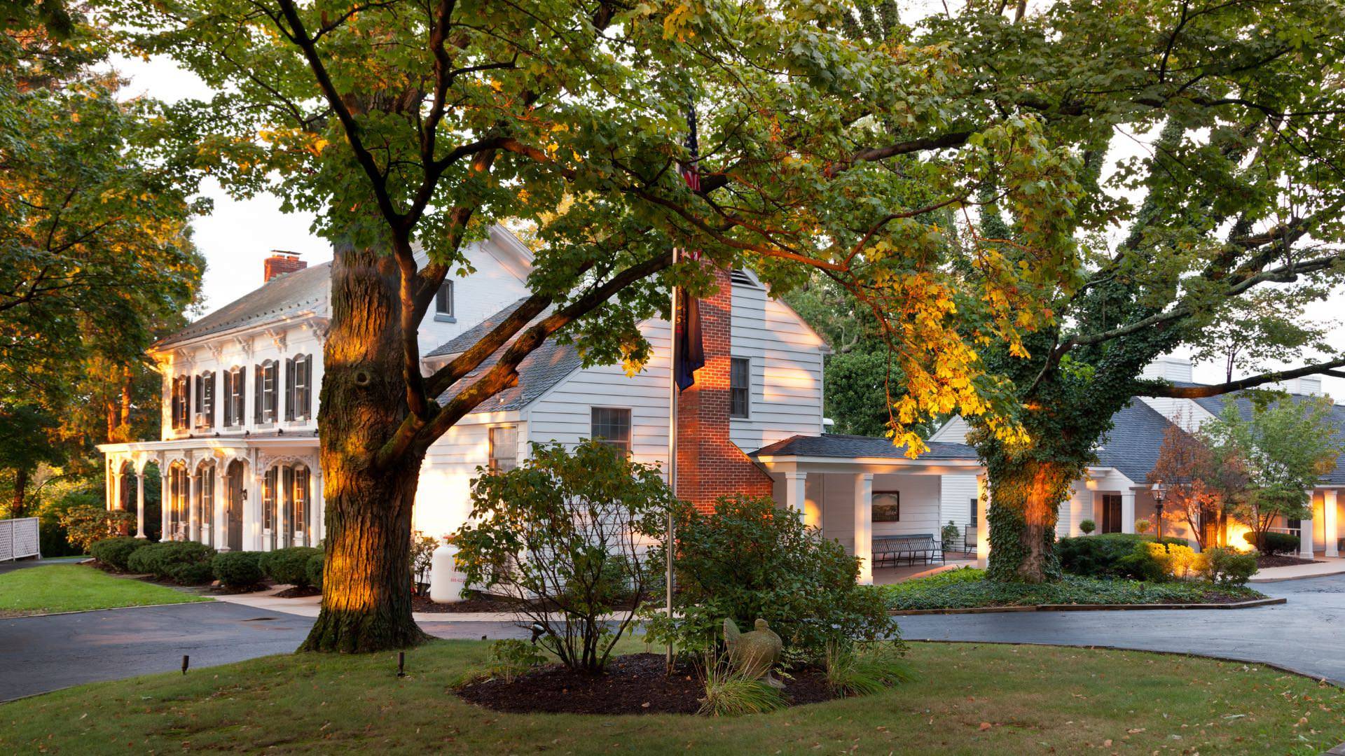 Exterior view of property painted white with dark shutters surrounded by green bushes, green grass, and large green trees