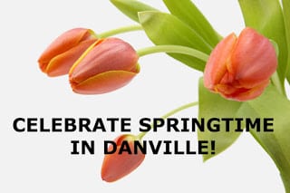 Four yellow and peach colored tulips on arching stems, light green foliage behind, white background Text: Celebrate Springtime in Danville!