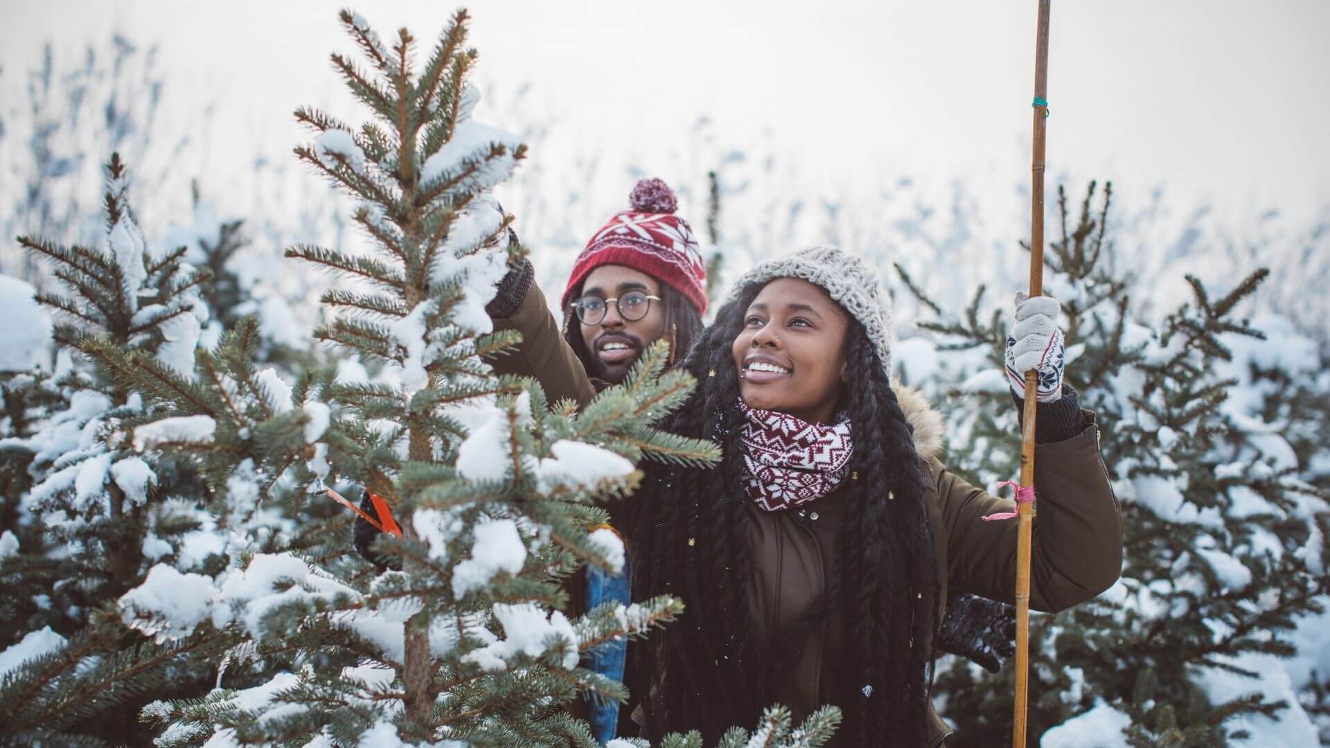 A couple choosing a snow-covered Christmas tree at a winter tree farm.