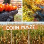 Three fall images; cannon with jack o’lanterns lined up on top, waterfall with fall leaves, corn maze sign in front of corn stalks.