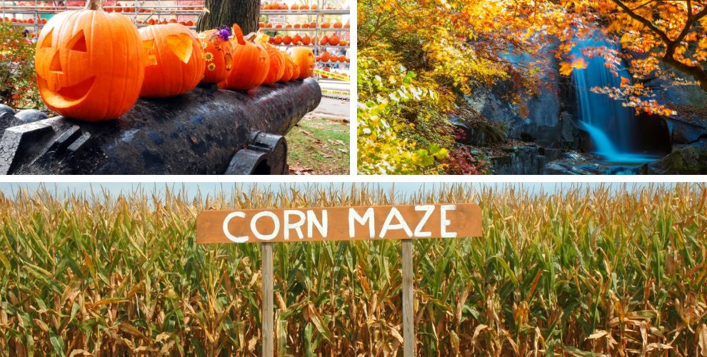Three fall images; cannon with jack o’lanterns lined up on top, waterfall with fall leaves, corn maze sign in front of corn stalks.