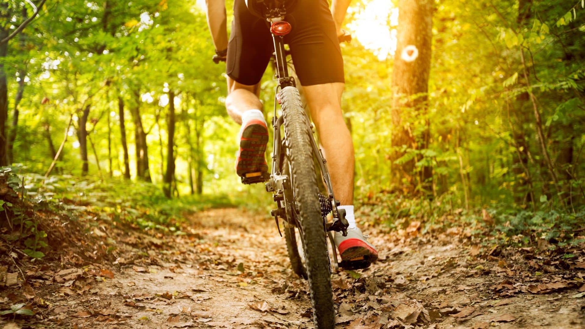 a mountain biker biking through a wooded area on a bike path