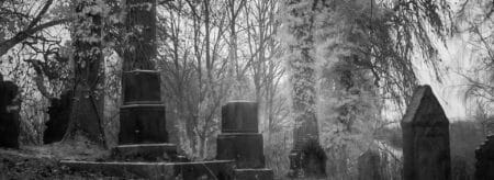 old haunted cemetary filled with mist