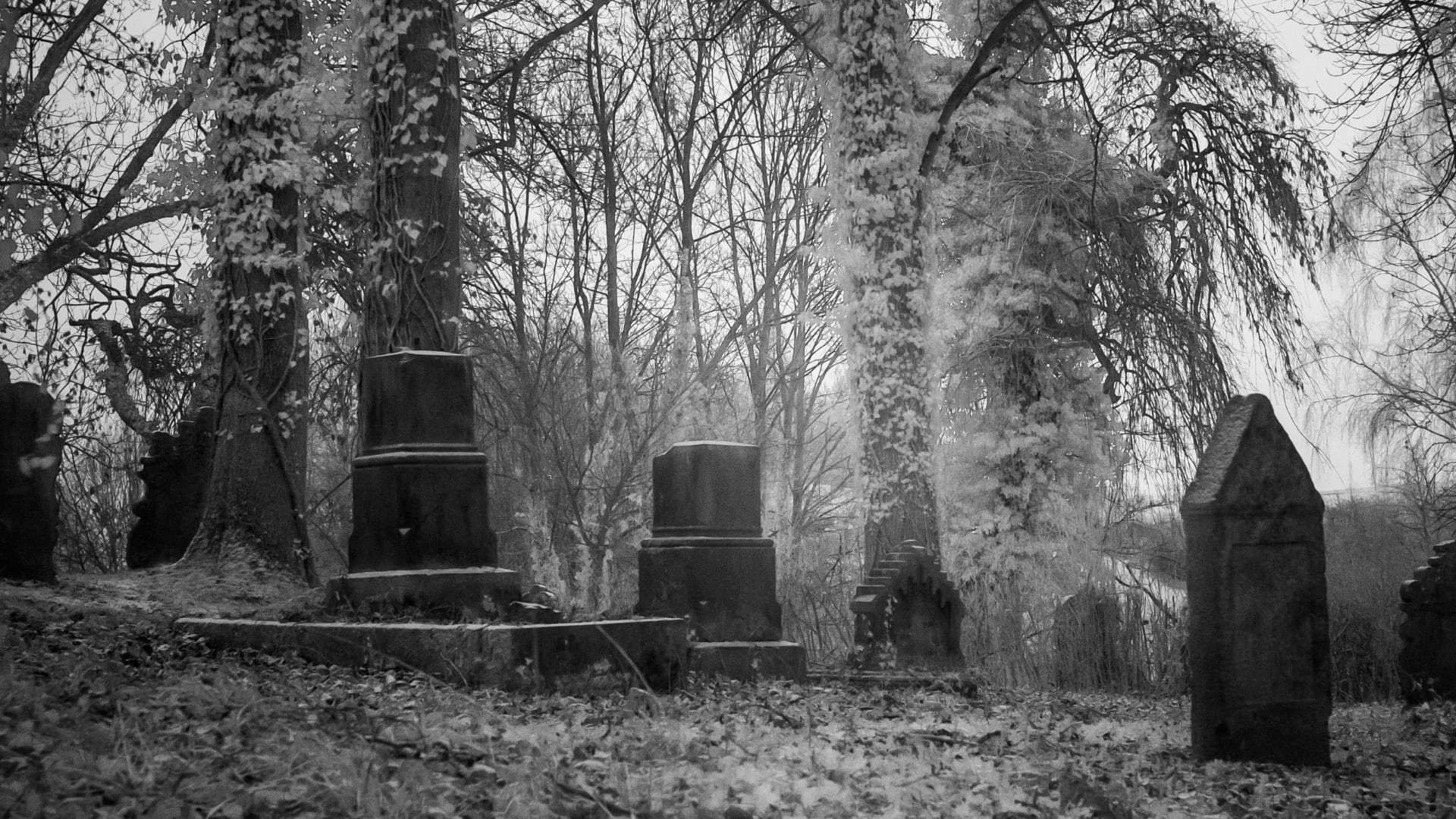 old haunted cemetary filled with mist