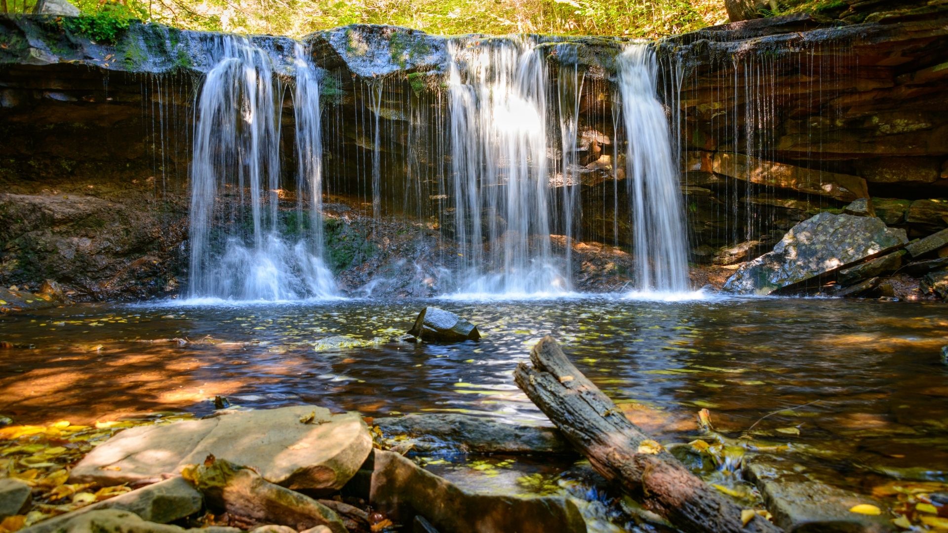waterfall at ricketts glen state park