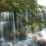 brown branch with green leaves extending in front of wide waterfall with water hitting rocks at bottom