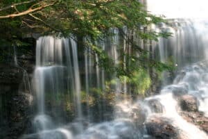 brown branch with green leaves extending in front of wide waterfall with water hitting rocks at bottom