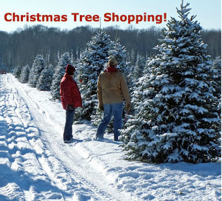 backs of two people in red and brown jackets standing in snowy tracks looking at rows of Christmas trees